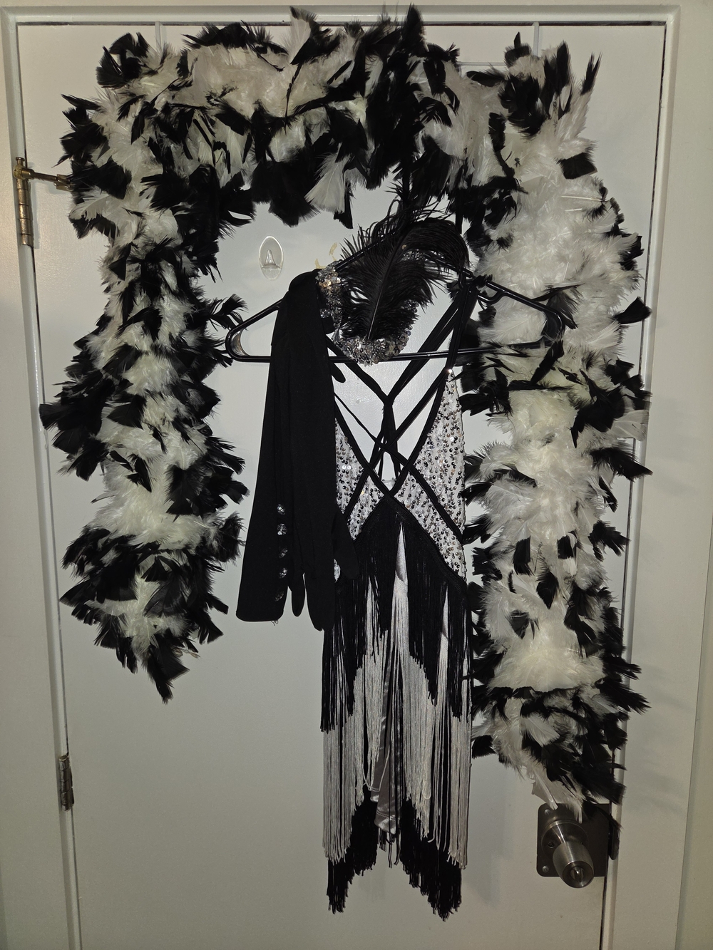 Black & White Feather Boa and Fringe Decorative Accent Set